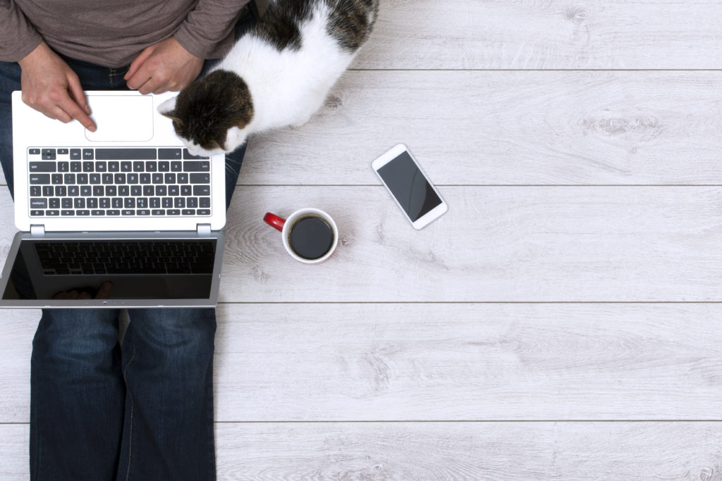 woman using laptop at home header Top view image of woman using her laptop at home while sitting on the floor drinking her coffee. Her cat and smartphone beside her. Responsive design mockup.